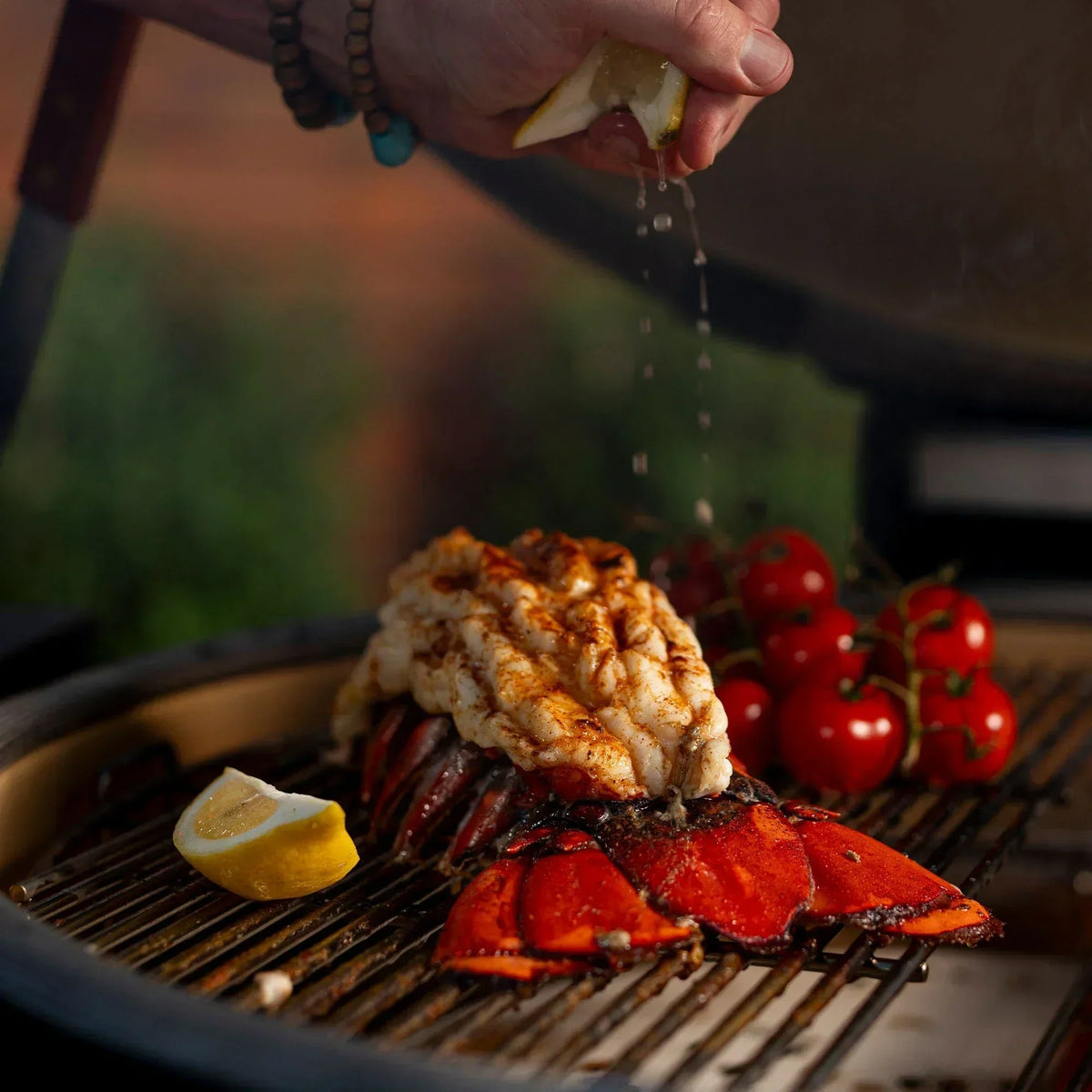 Big Joe™ Konnected Joe™ Digital Charcoal Grill and Smoker