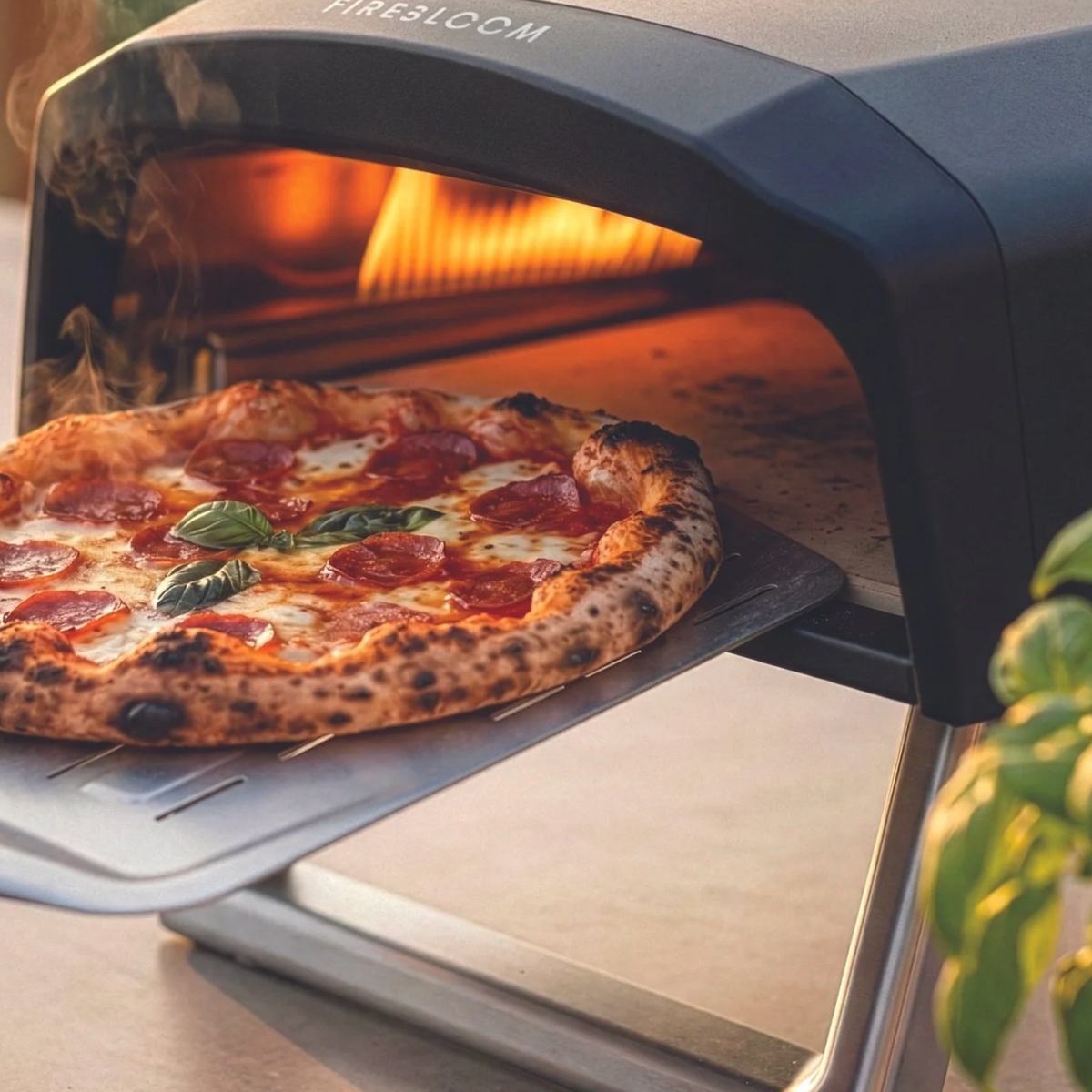 Firebloom GP01 Gas Pizza Oven